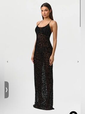 Black Sheer Animal-Print Slip Dress